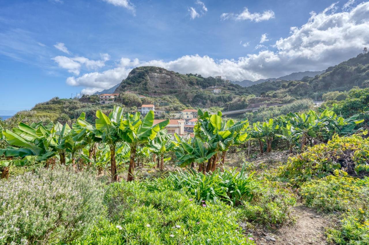 Quinta Da Holiday home Porto Da Cruz